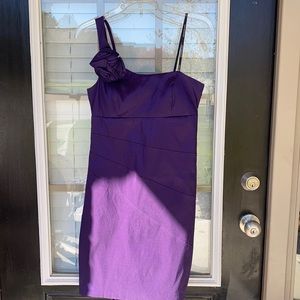 City Triangles Purple Dress- Size 5